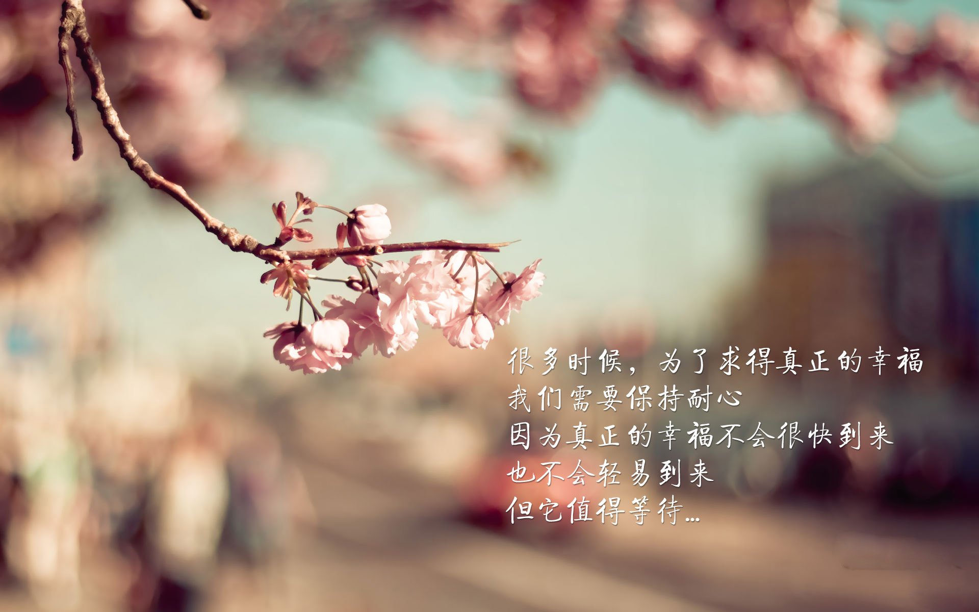 命运的第18洞，帕尔默于世界排名之夜完成史诗救赎