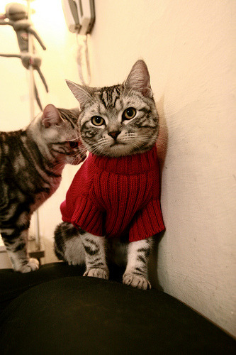 刹车点上的救赎，苏亚雷斯的终极一弯