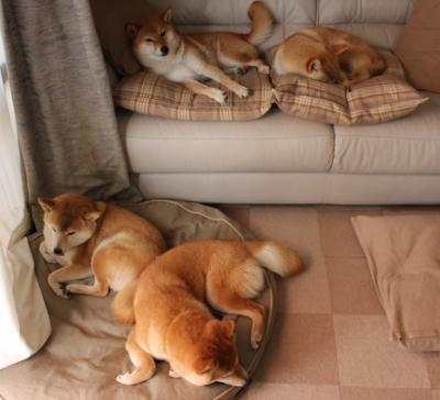 当水花溅入鹏城,克莱·汤普森如何用一记绝杀为深圳正名