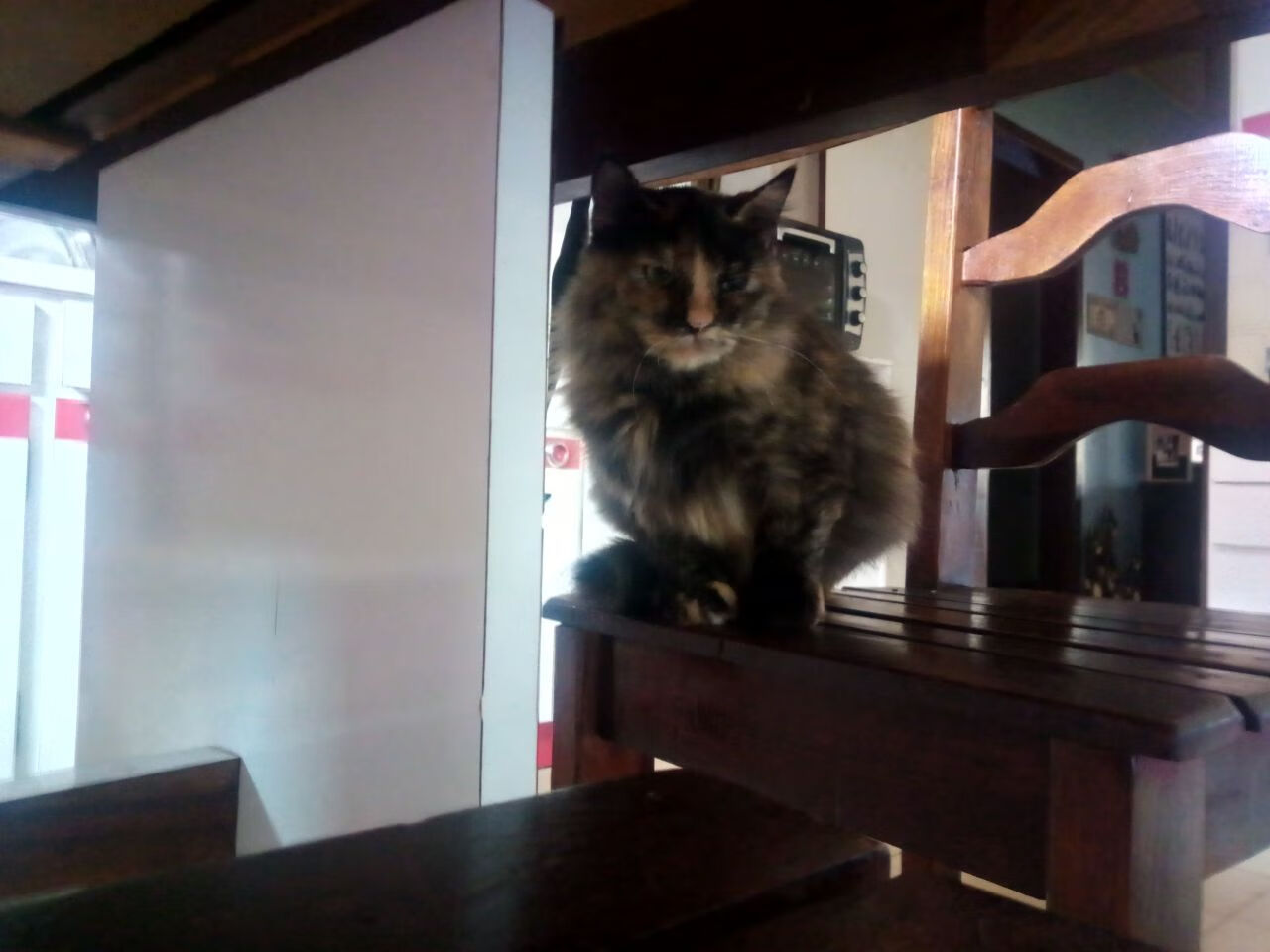 季后赛双线鏖战,鹈鹕险胜掘金保留悬念,克莱东决关键战接管比赛奠定胜局