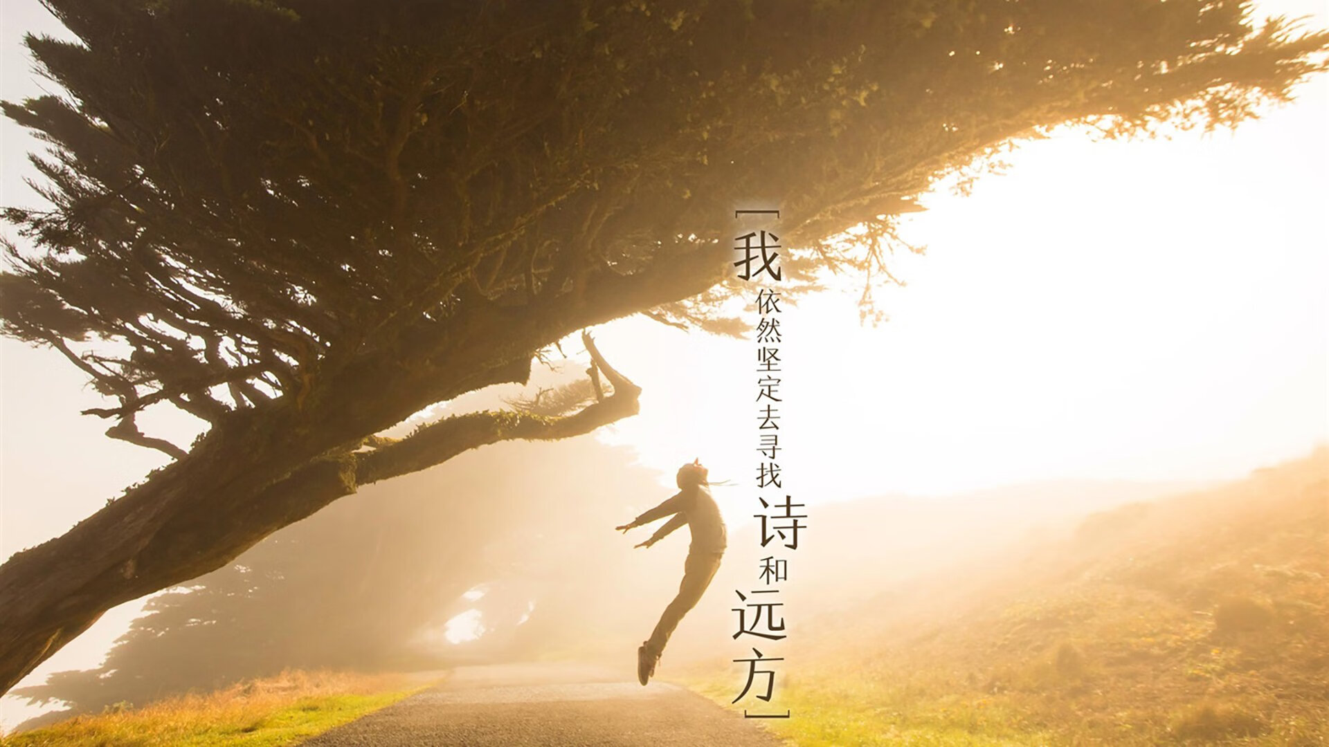 北欧双雄的宿命对决,三笘薰以异乡人之剑斩断百年枷锁
