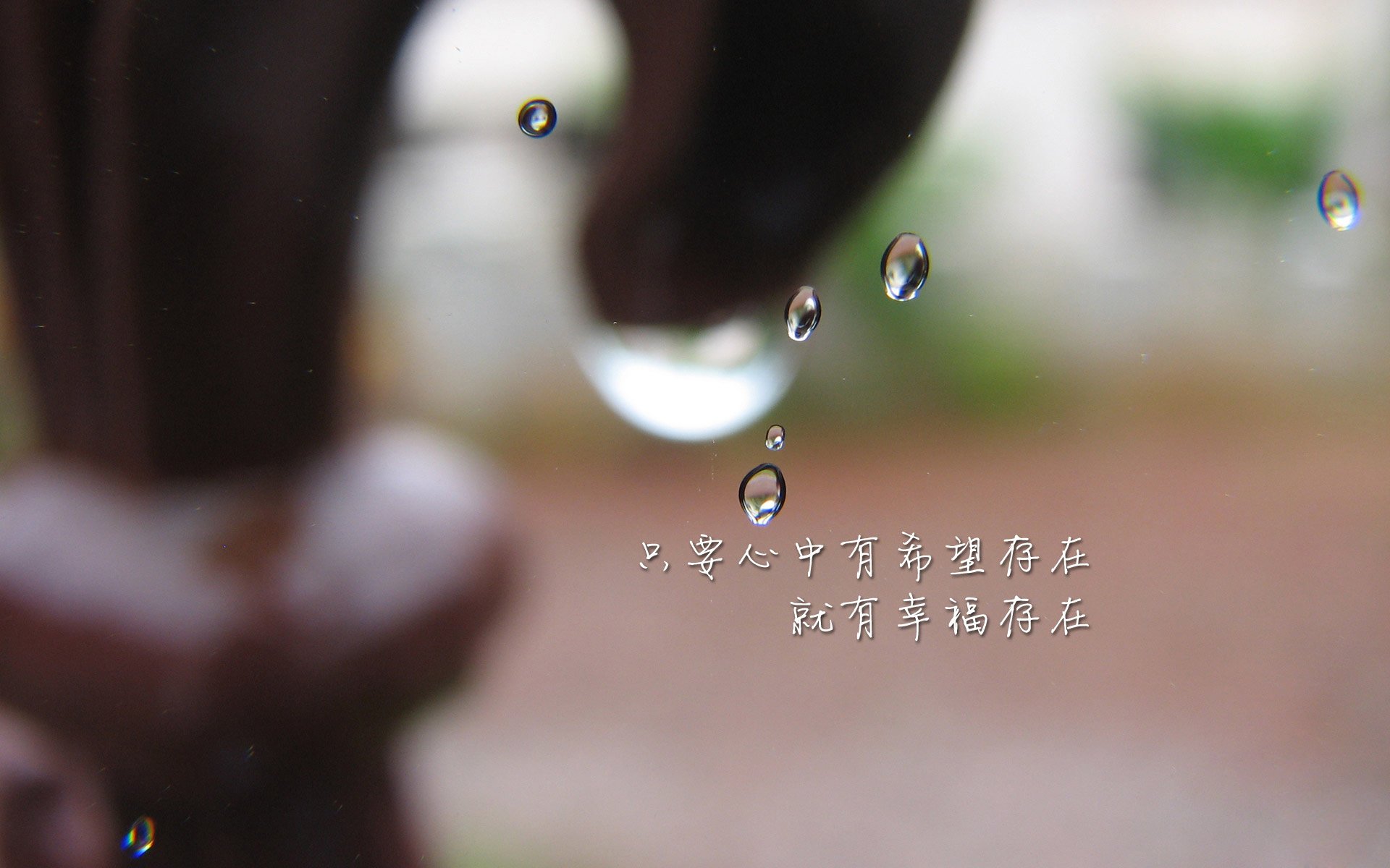 开云体育中国-唯一的一战，努涅斯如何让厄瓜多尔在2026世界杯焦点战中撕裂伊朗防线