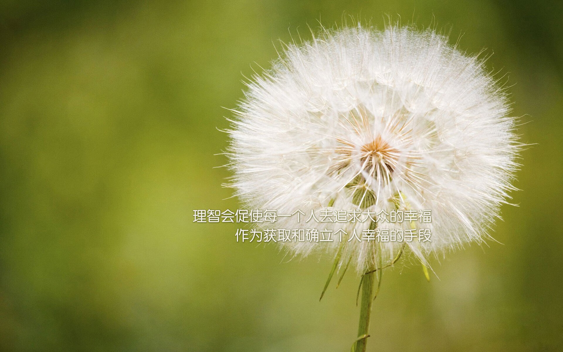 唯一的方向,只有巴雷拉的脚尖知道—2026世界杯淘汰赛,厄瓜多尔与喀麦隆的孤注一掷